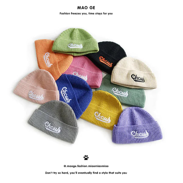 Embroidered Knitted Beanie